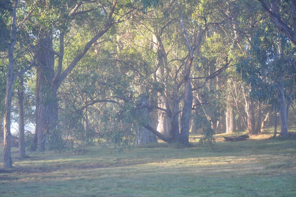 Tallawarra Homestead Tonimbuc Exterior photo